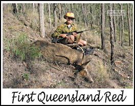 First Queensland Red - page 88 Issue 69 (click the pic for an enlarged view)